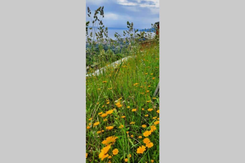 La Finestra Sul Golfo - Citra 010018-Lt-0033 - Villa Cogorno Dış mekan fotoğraf